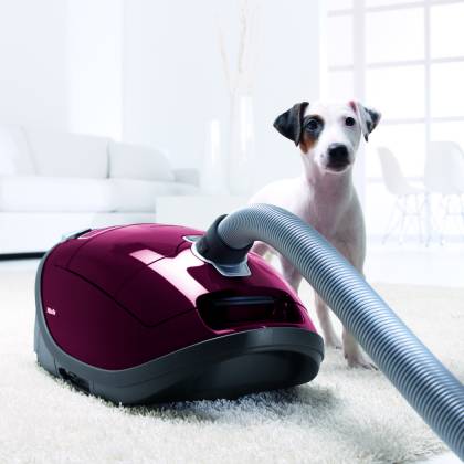 Miele Complete C3 Tayberry Vacuum Limited Edition