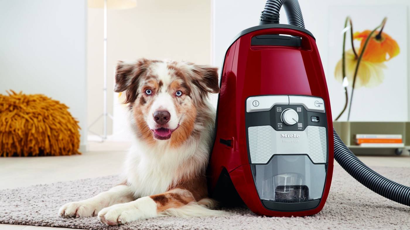 Miele Blizzard CX1 Cat & Dog Vacuum SKCE0